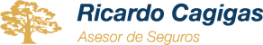Ricardo Cagigas